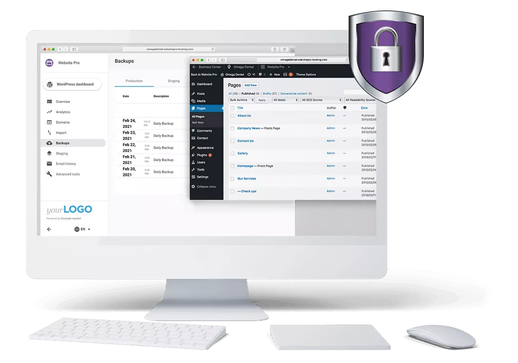 Franchise Website Hosting